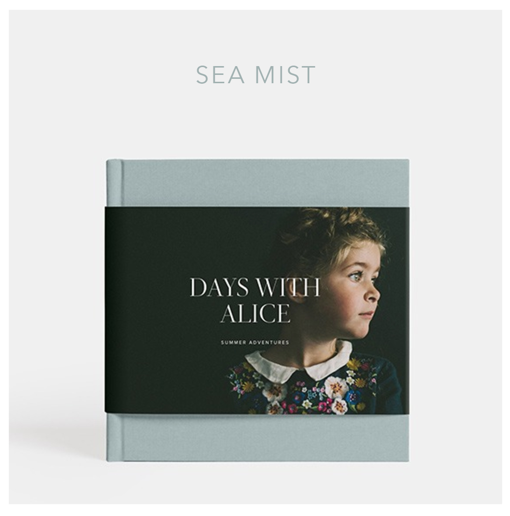 SEA-MIST-COFFEE-TABLE-ALBUM-SWATCH-TORONTO-WEDDING-PHOTOGRAPHER-WEDDING-ALBUM-DESIGN.jpg