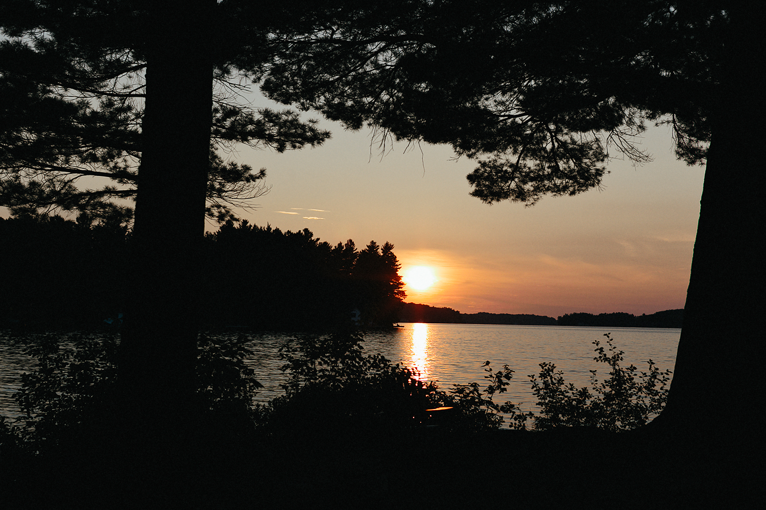 Toronto-Wedding-Photography-Muskoka-Wedding-Lakeside-Forest-Theme-Boho-Bride-intimate-elopement-photography-landscape-moody-dramatic-environment-cottage-country-lakeside-golden-hour-sunset.jpg