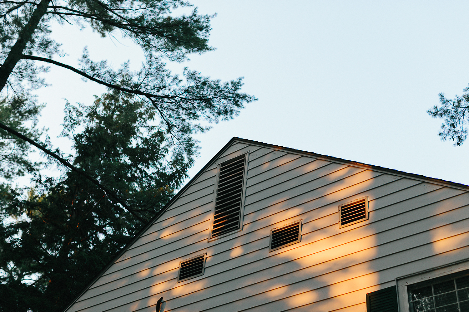 Toronto-Wedding-Photography-Muskoka-Wedding-Lakeside-Forest-Theme-Boho-Bride-intimate-elopement-photography-landscape-moody-dramatic-environment-cottage-country-lakeside-sunset.jpg