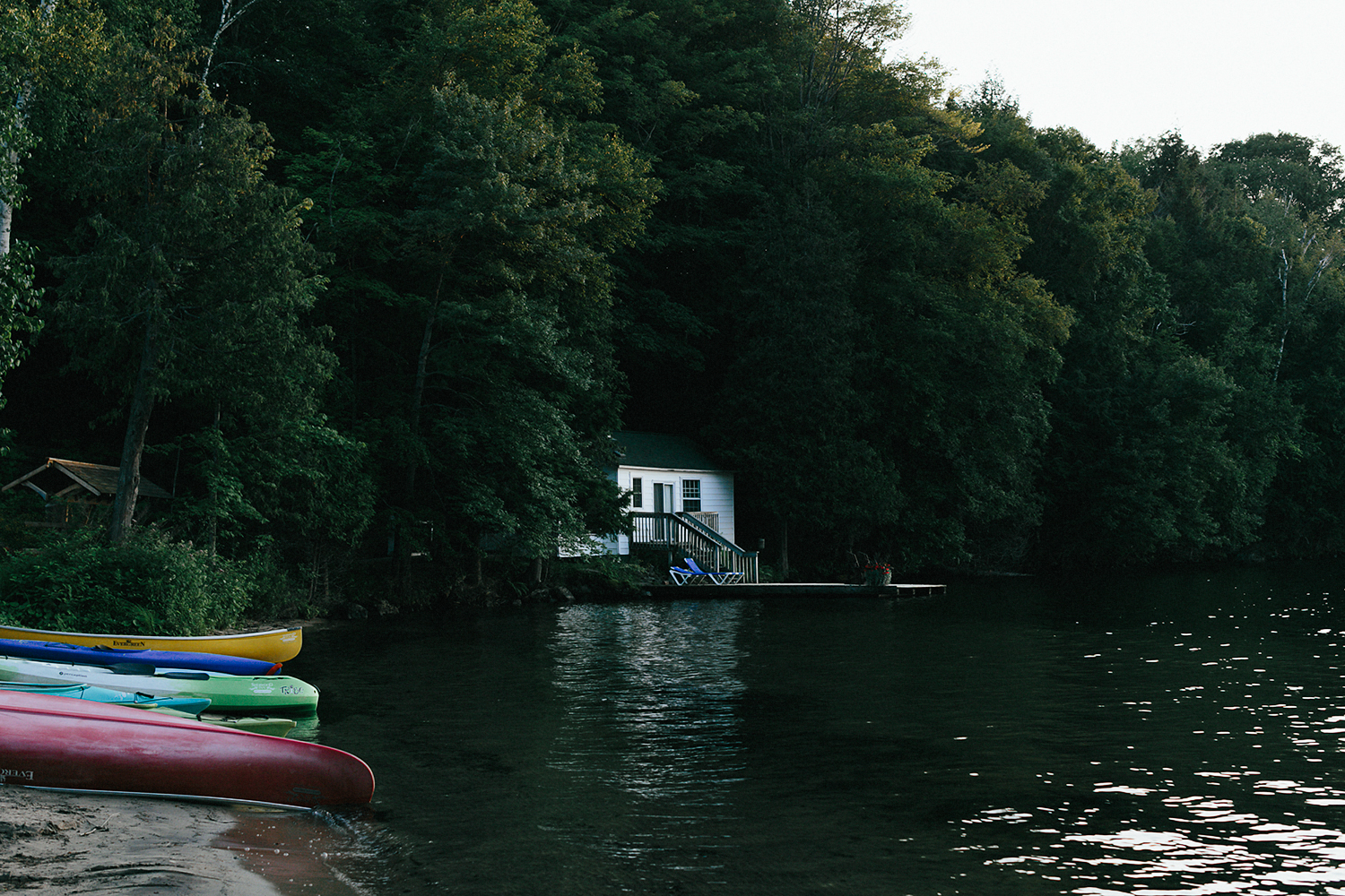 Toronto-Wedding-Photography-Muskoka-Wedding-Lakeside-Forest-Theme-Boho-Bride-intimate-elopement-photography-landscape-moody-dramatic-environment-cottage-country-lakeside.jpg