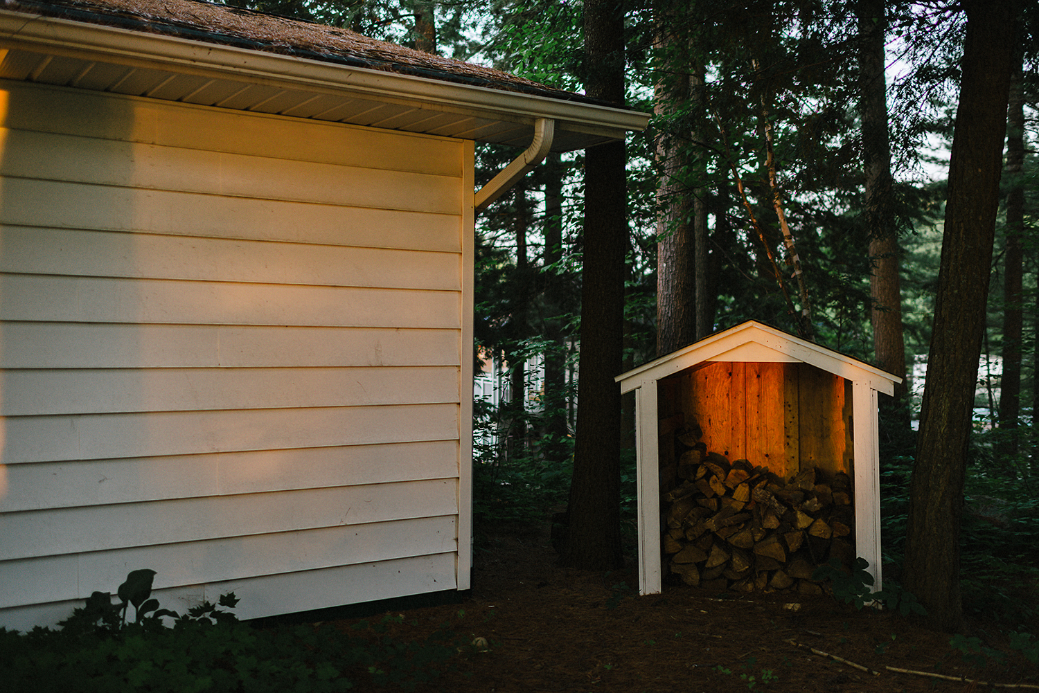 Muskoka-Cottage-Wedding-Photography-Photographer_Photojournalistic-Documentary-Wedding-Photography_Lakeside-Ceremony-Sunset-Light-on-Trees-and-Home.jpg