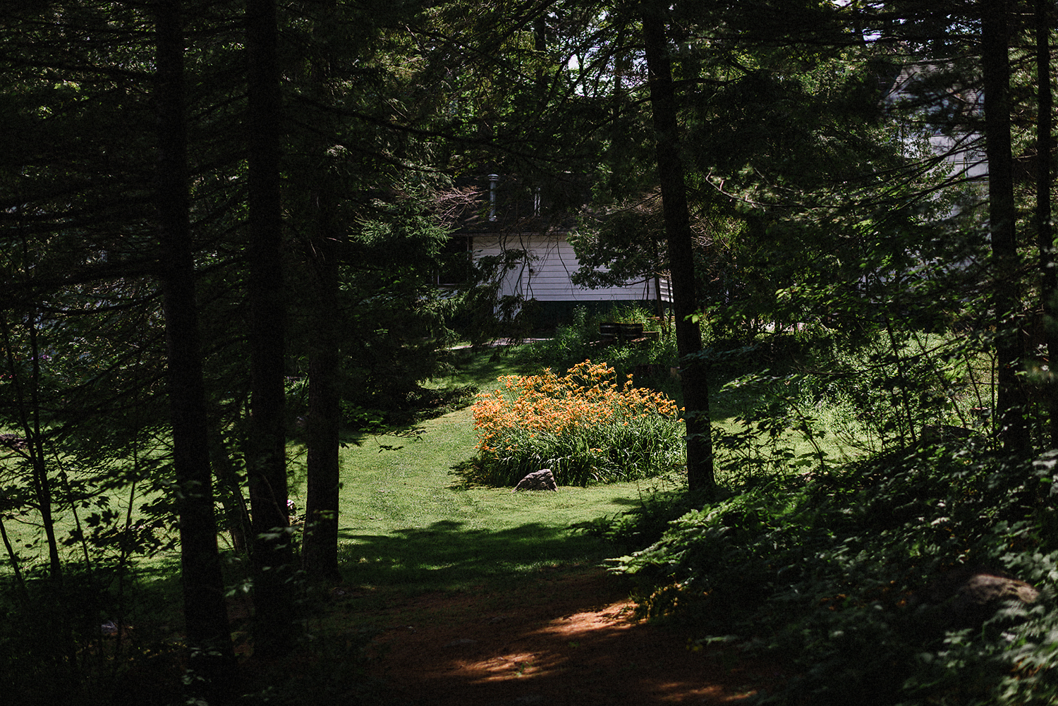 Muskoka-Cottage-Wedding-Photography-Photographer_Photojournalistic-Documentary-Wedding-Photography_Vintage-Bride-Sunny-Cottage-Venue-Wedding-Reception.jpg