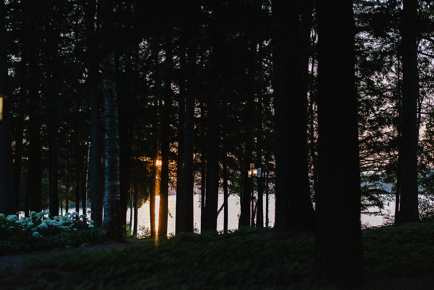 Muskoka-Cottage-Wedding-Photography-Photographer_Photojournalistic-Documentary-Wedding-Photography_Vintage-Bride-Lovers-Land-Dress_Rue-Des-Seins_Forest-Wedding-Venue-Beautiful-Sunset.jpg