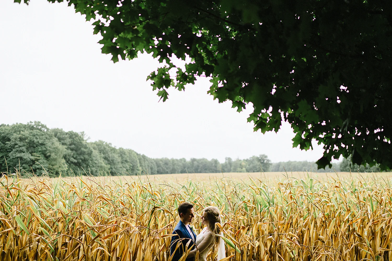 Best-Moody-Documentary-Wedding-Photography-Photojournalism-Vintage-Small-Town-Chapel-Wedding-Toronto-Ontario_Bridal-Portraits-Bride-and-Groom-in-corn-field-wide.jpg