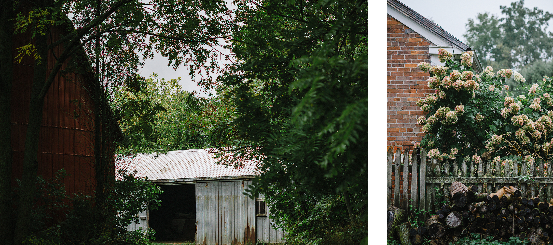 spread-3-Best-Moody-Vintage-Small-Town-Chapel-Wedding-Toronto-Ontario_-Guest-House-Plant-Detail.png