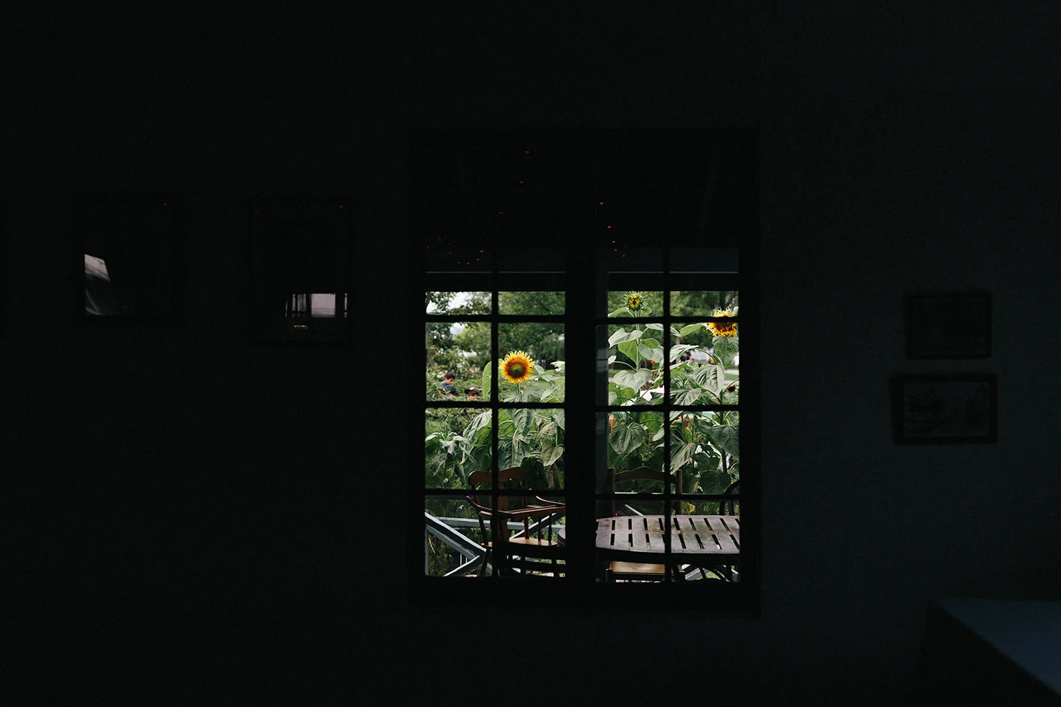 Toronto-Island-Wedding-Toronto-Best-Film-Wedding-Photographers-3b-photography-analog-photography-wards-island-clubhouse-details-old-photographs-vintage-rustic-sunflowers.jpg