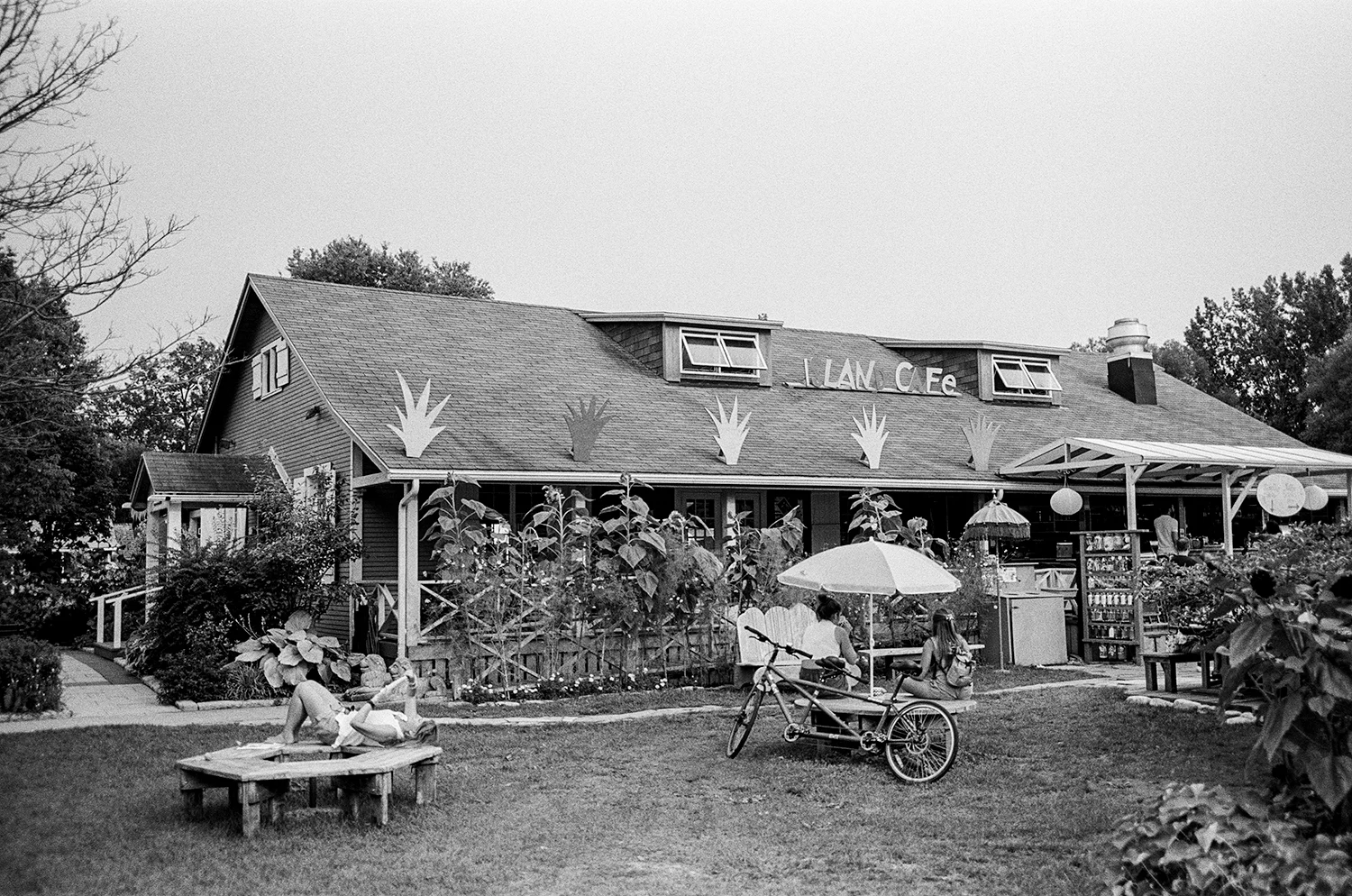Best-Fine-Art-Film-Wedding-Photographers-Toronto-3B-Photography-Brjann-Batista-Bettencourt-Editorial-Documentary-Wedding-Photos-Vintage-bride-and-groom-Toronto-Island-Cafe-Wedding.jpg