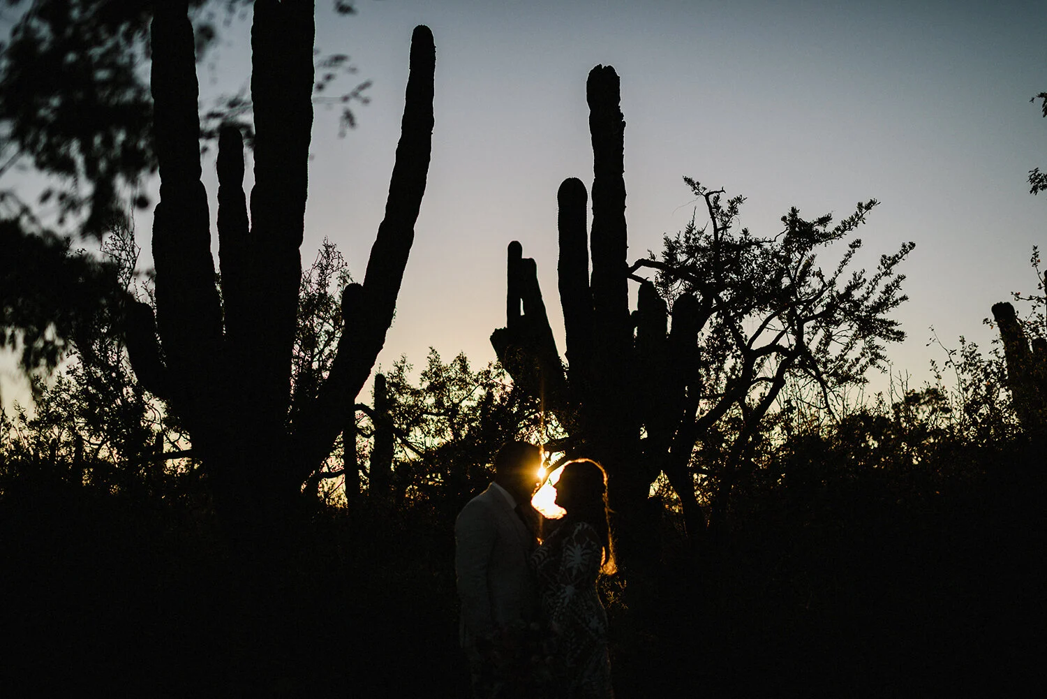 430-destination-wedding-cabo-san-lucas-ventanas-private-residence-alternative-toronto-wedding-photographer-documentary-photojournalistic-portraits-bride-and-groom-portraits-intimate-real-moments-sunset-desert-epic-cacti-silhouette.JPG