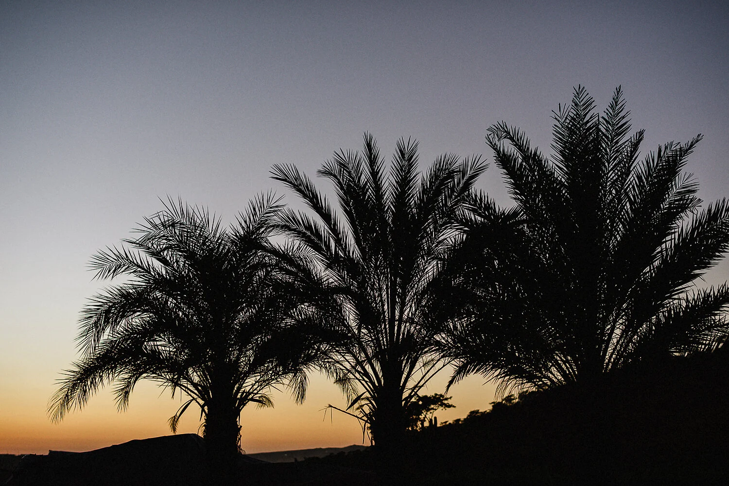 437-cabo-san-lucas-ventanas-private-residence-alternative-toronto-wedding-photographer-documentary-photojournalistic-portraits-bride-and-groom-portraits-intimate-real-moments-timeless-romantic-silhouetted-sunset-palm-trees.JPG