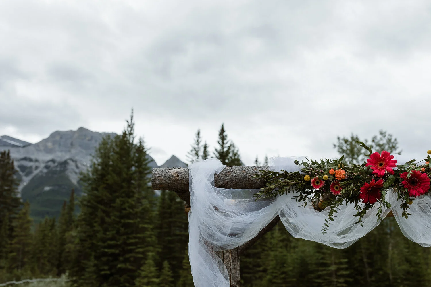 49-Canmore-Alberta-Real-Wedding-Best-Wedding-Photographers-63.JPG
