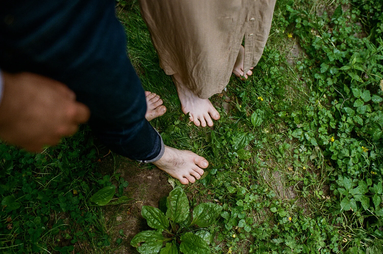engagement-photos-toronto-summer-ravine-location-ideas-guide-portrait-photographer-toronto-6.jpg