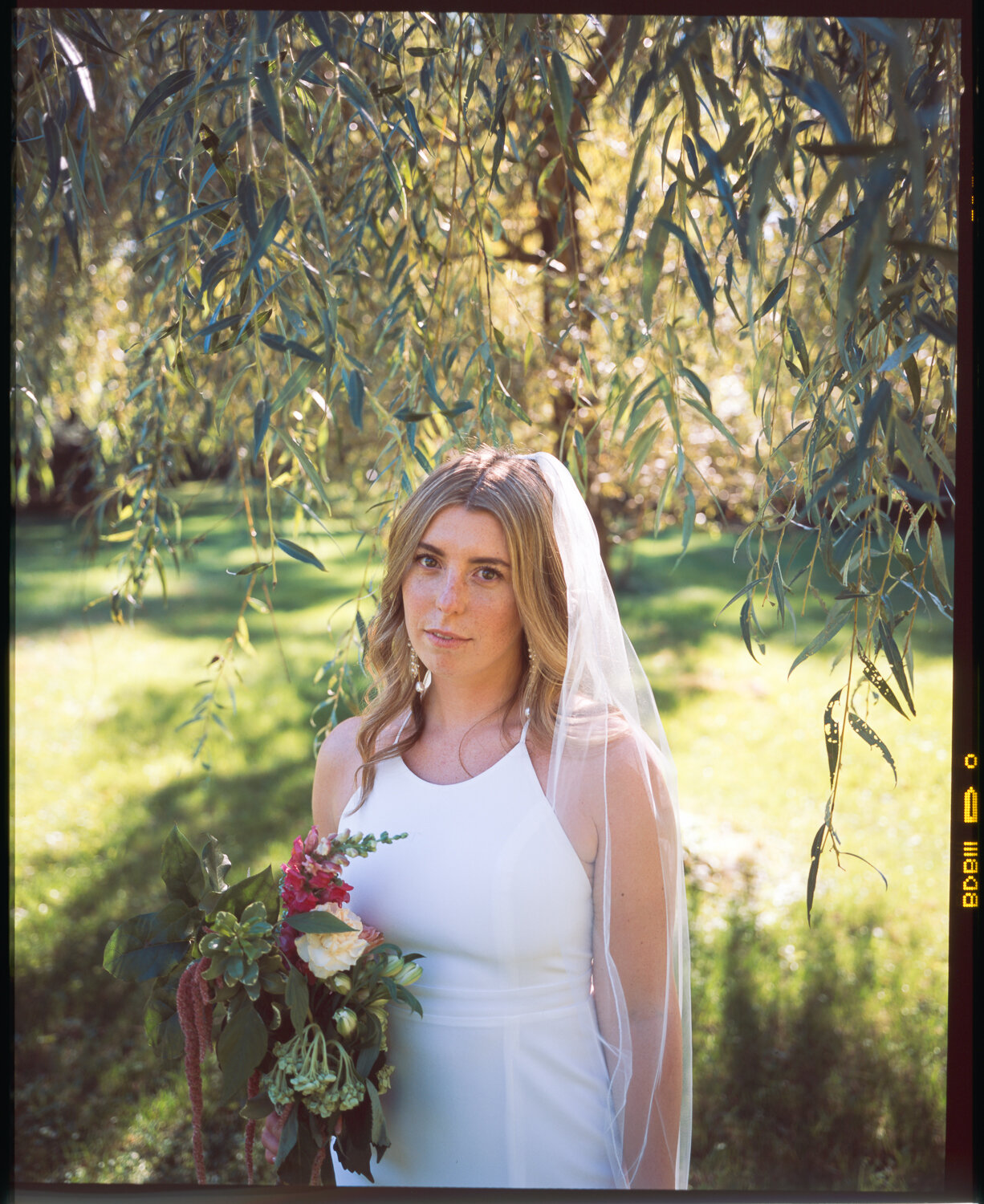 Analog-Film-Micro-Wedding-Photos-Inspiration-Backyard-Toronto-Ontario-66.JPG