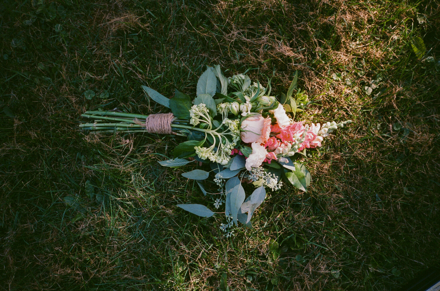Analog-Film-Micro-Wedding-Photos-Inspiration-Backyard-Toronto-Ontario-69.JPG