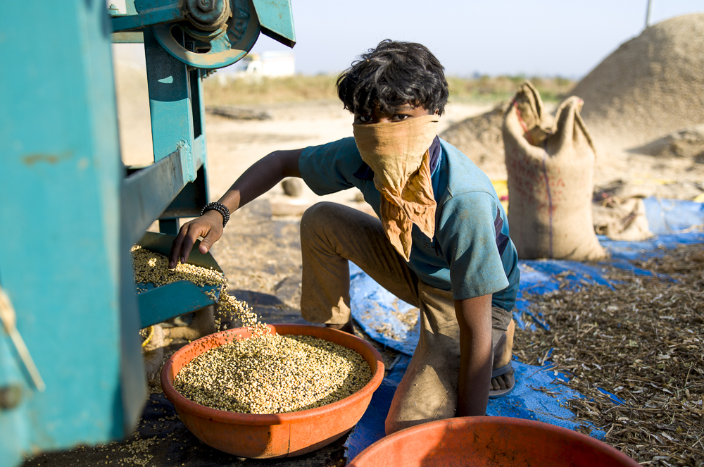  A young worker in a soy bean plantation.&nbsp;    