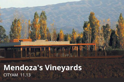 Mendoza's Vineyards | CityAM