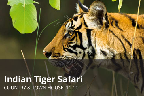 Indian Tiger Safari | Country & Town House