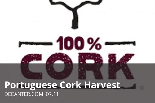 Portuguese Cork Harvest | Decanter.com