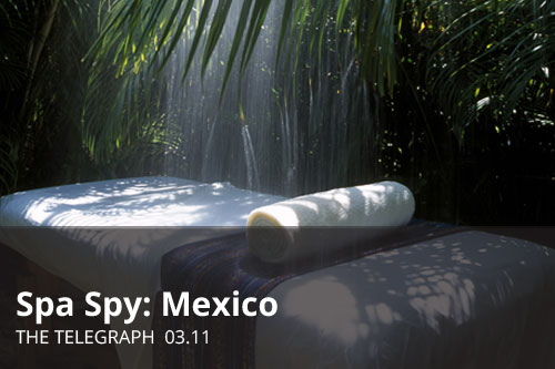SpaSpyMexico_Thumb2.jpg