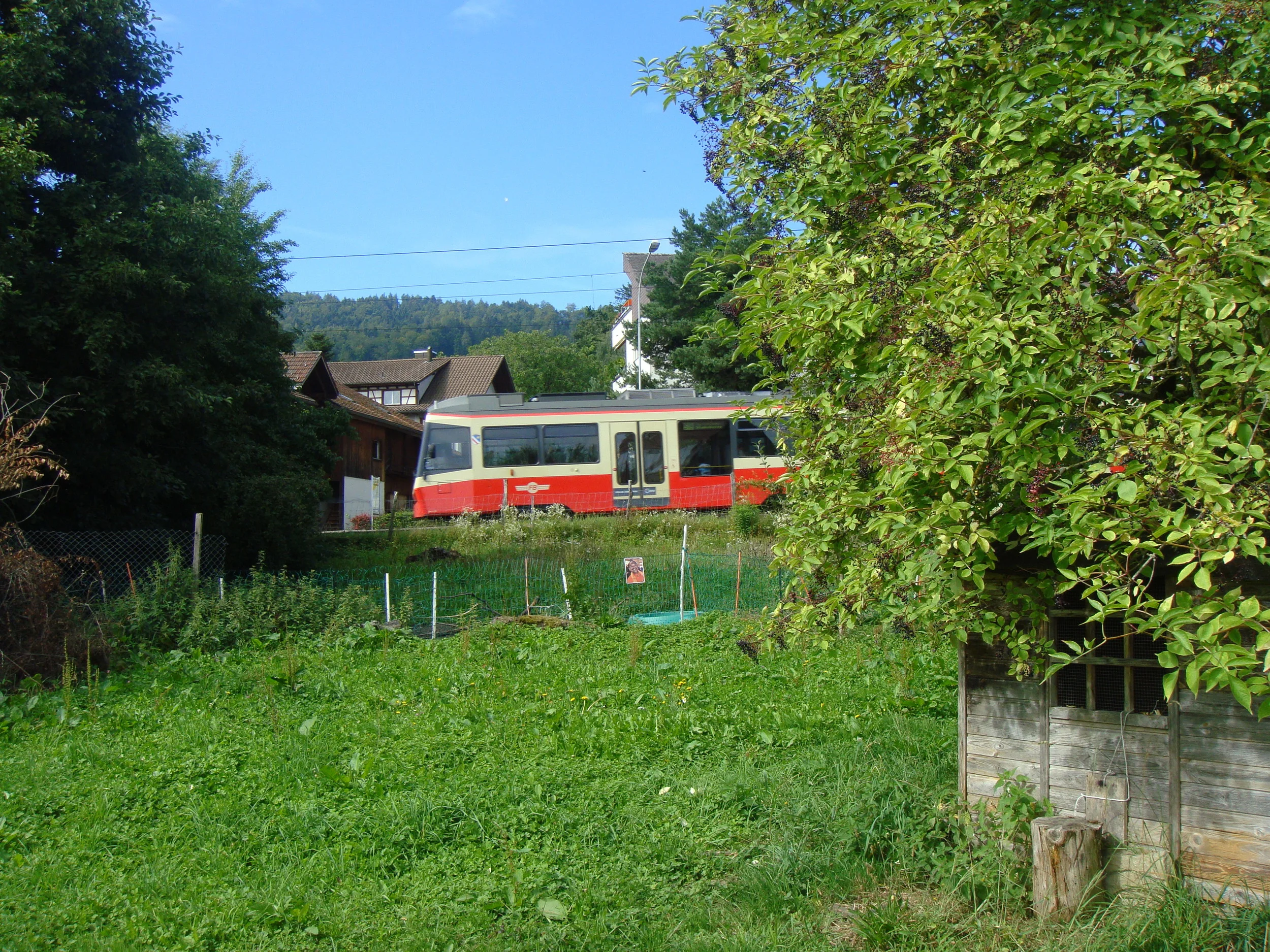 bahn.JPG