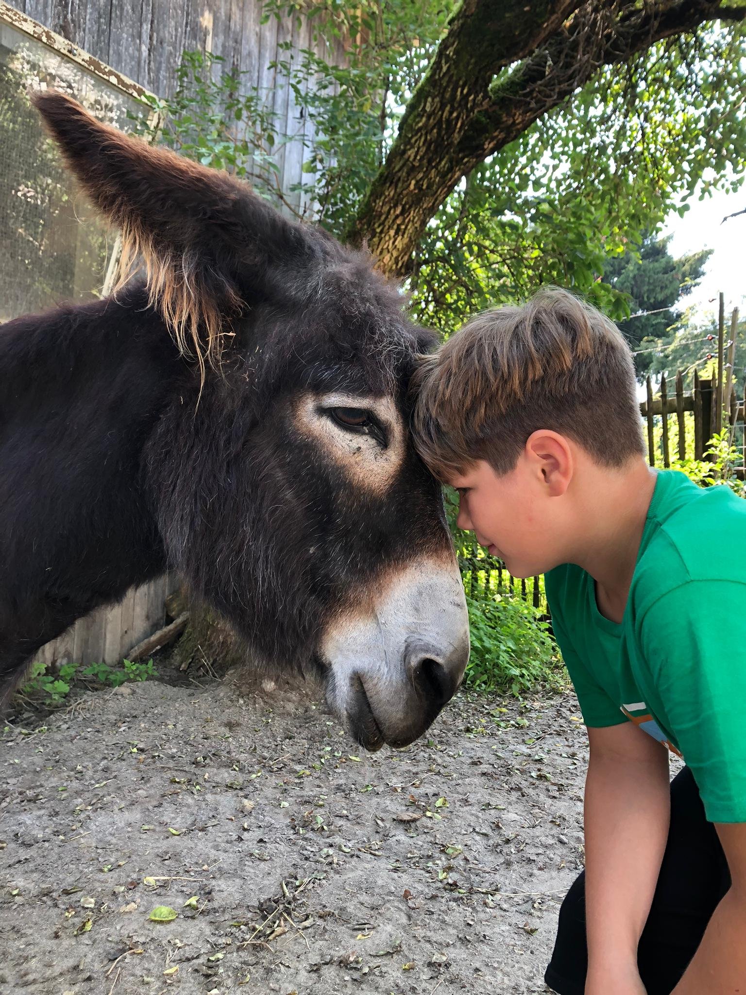 Sommer-Lager für Kinder