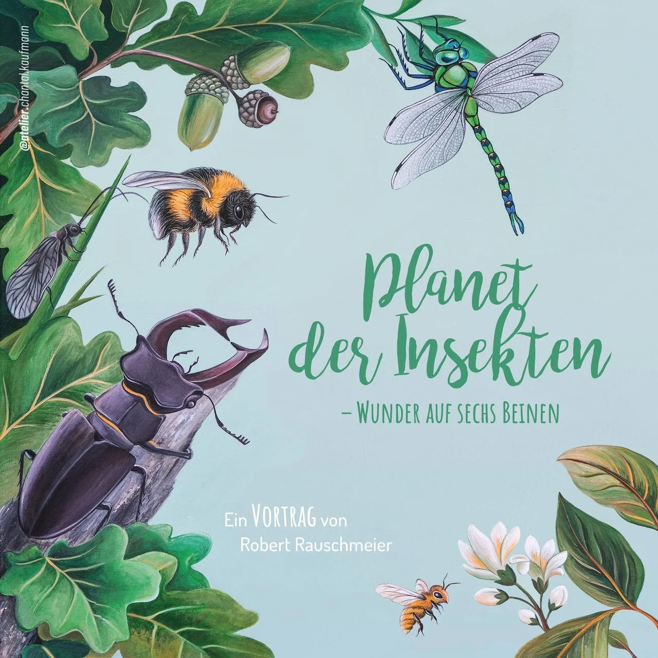 Planet der Insekten - Vortrag und Apéro riche