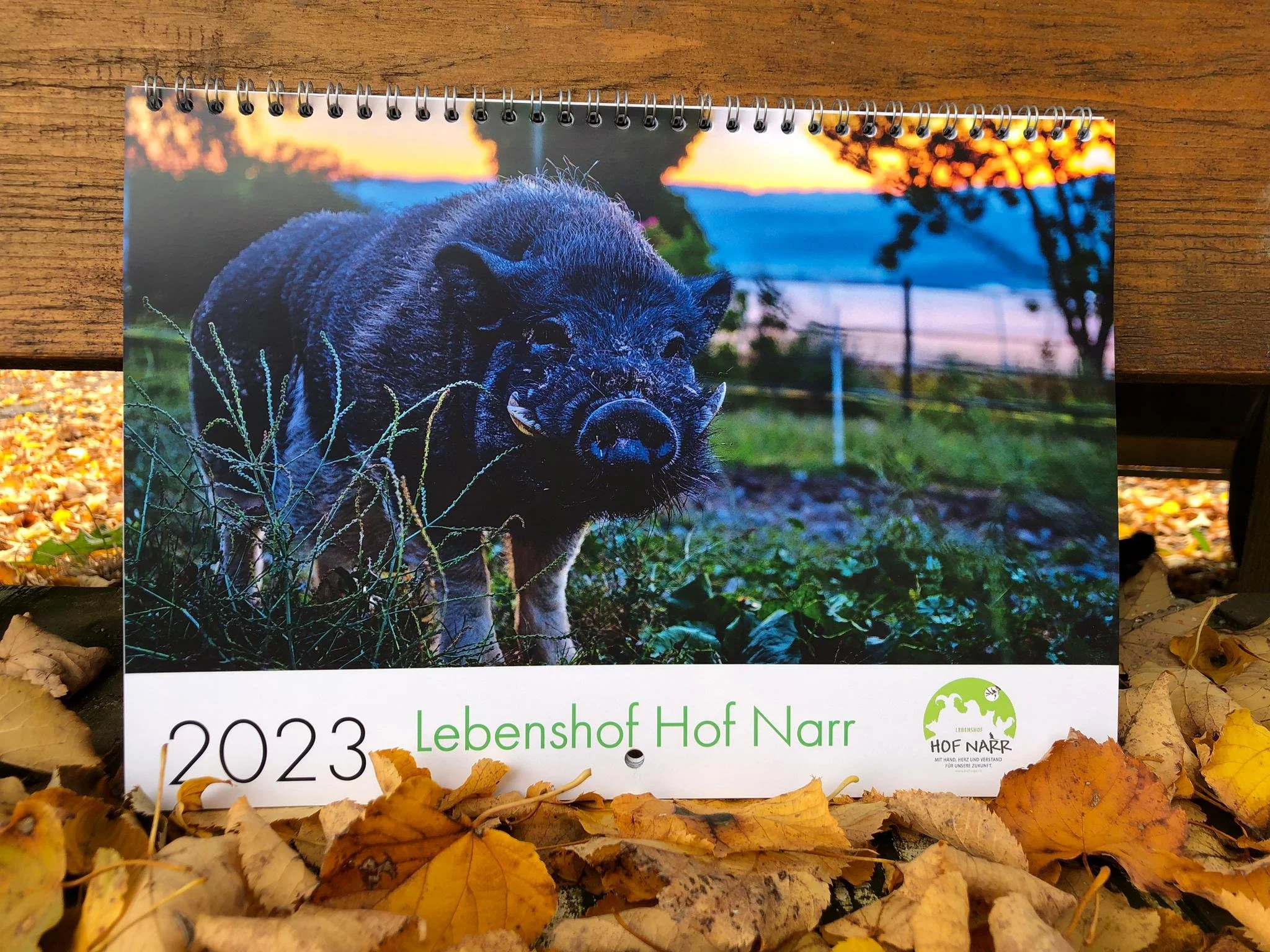 Hofführung "Drei Könige und ein Narr"