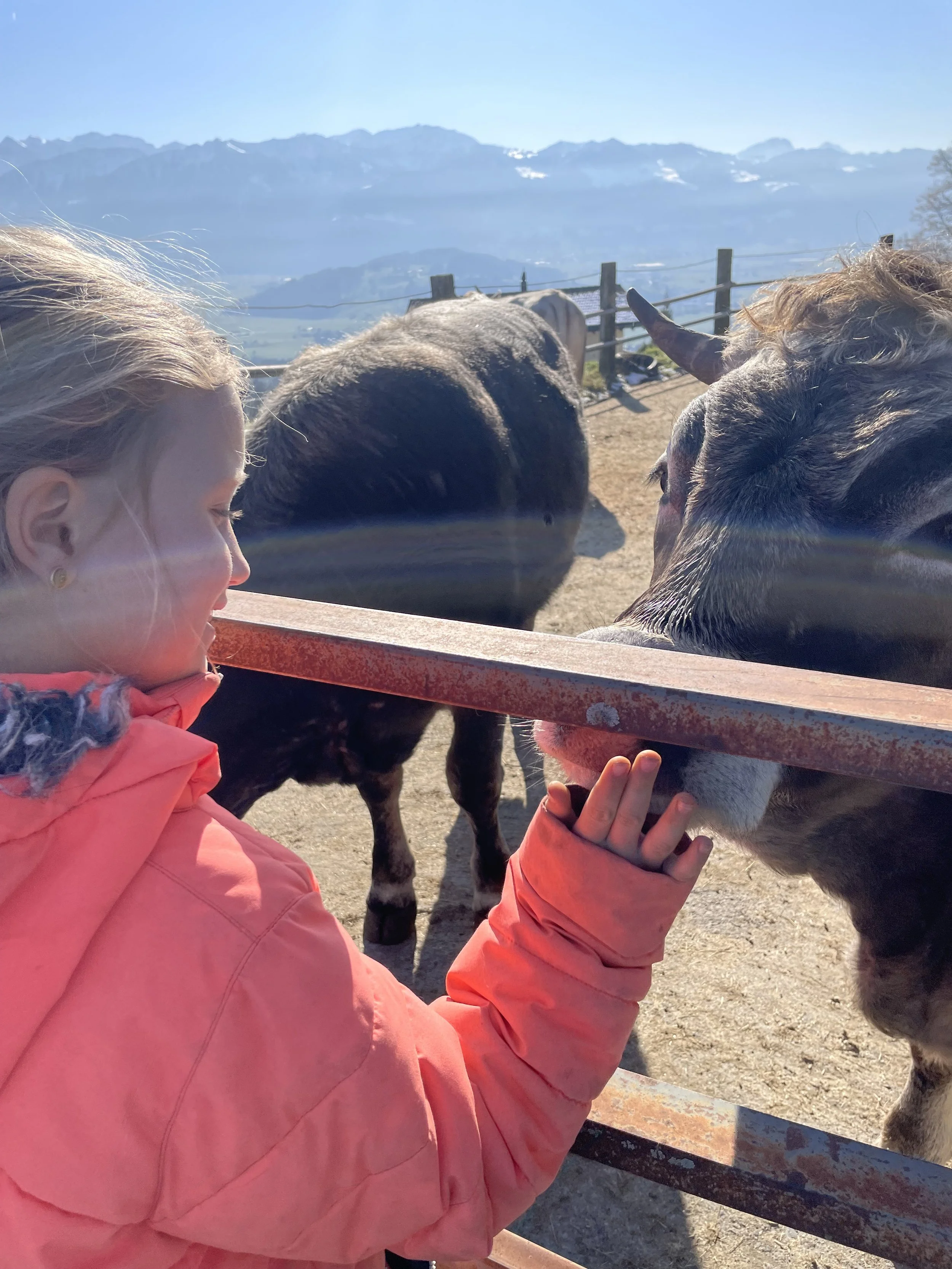 Extern: Sommerlager für Kinder auf dem Erlebenshof
