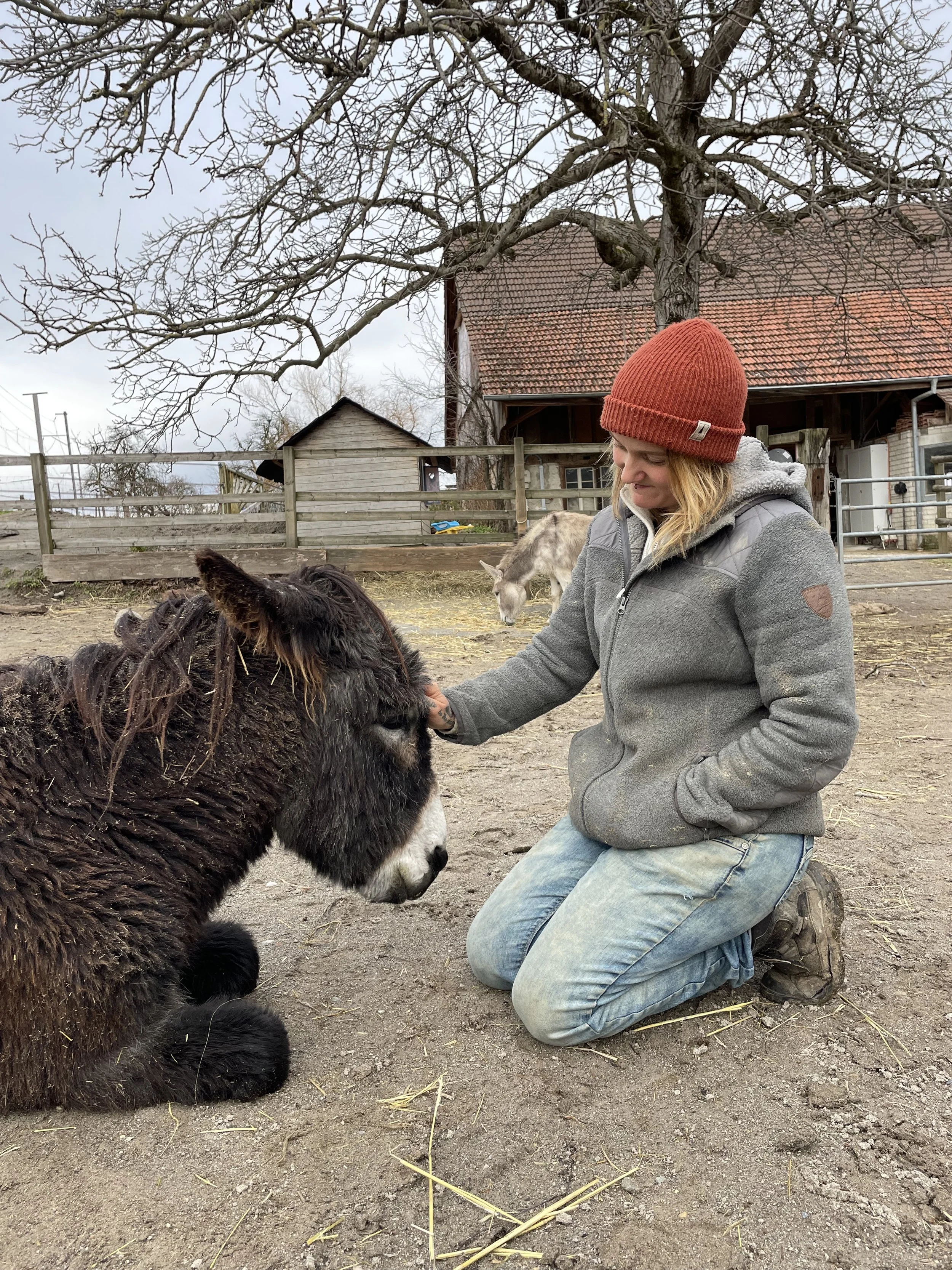 Öffentliche Hofführung