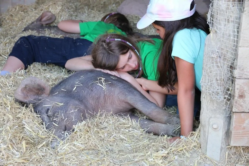 Ausgebucht: Sommerlager für Kinder