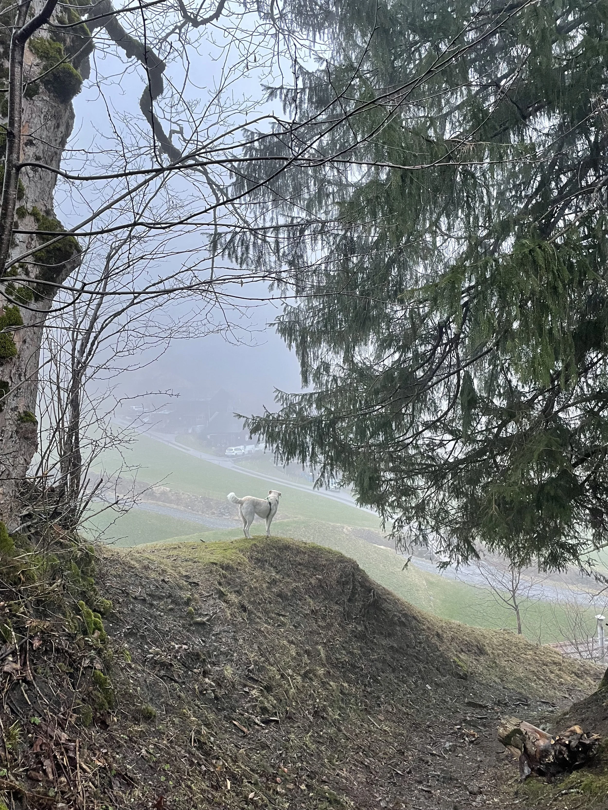 Trommel-Lesung und Buchpräsentation