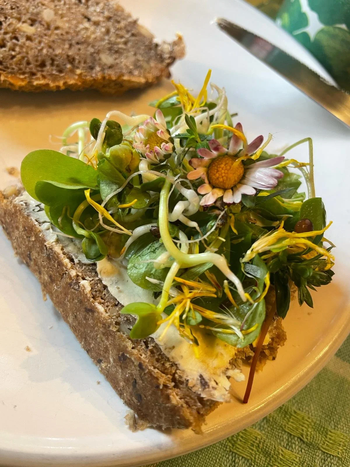 Filmvorführung: Ernte teilen