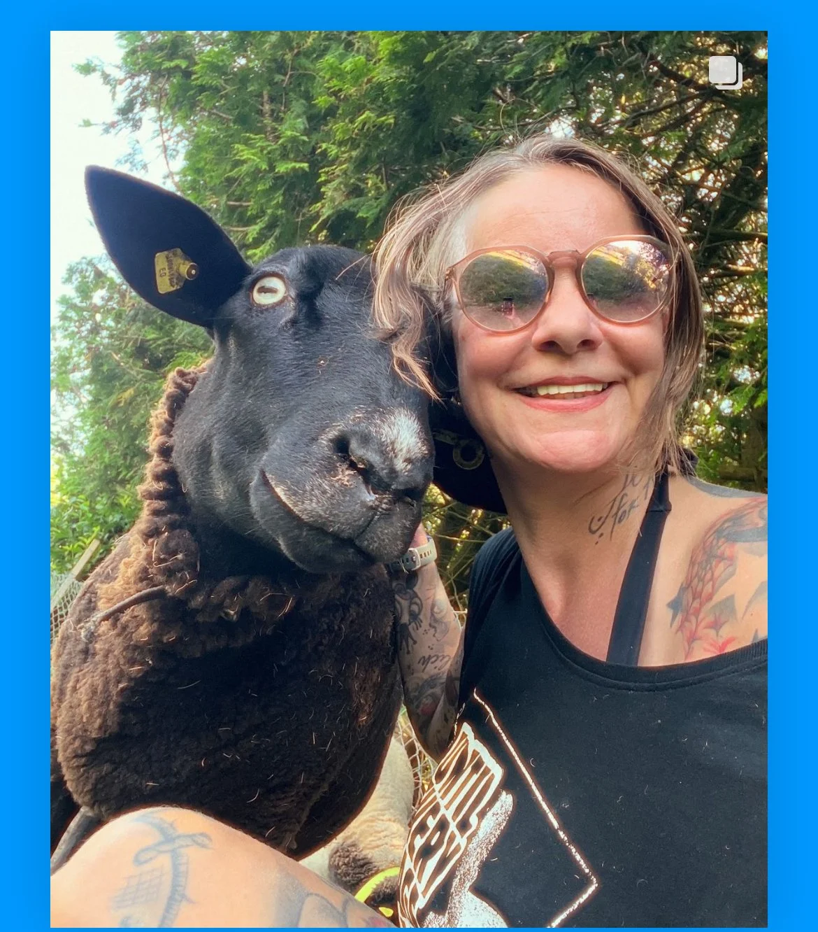 Öffentliche Hofführung  