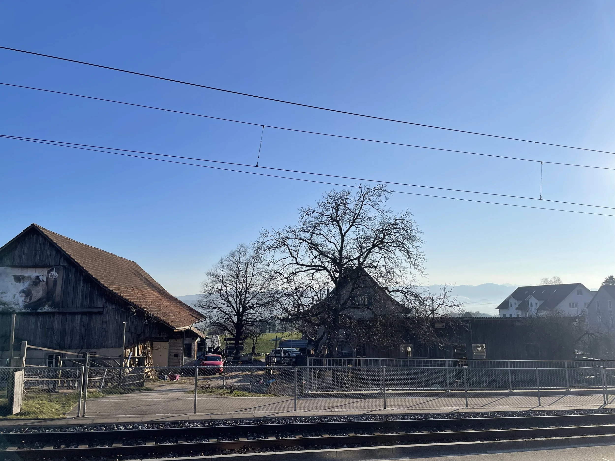 Lesung mit Kuno Roth und Maestro Adji Matar