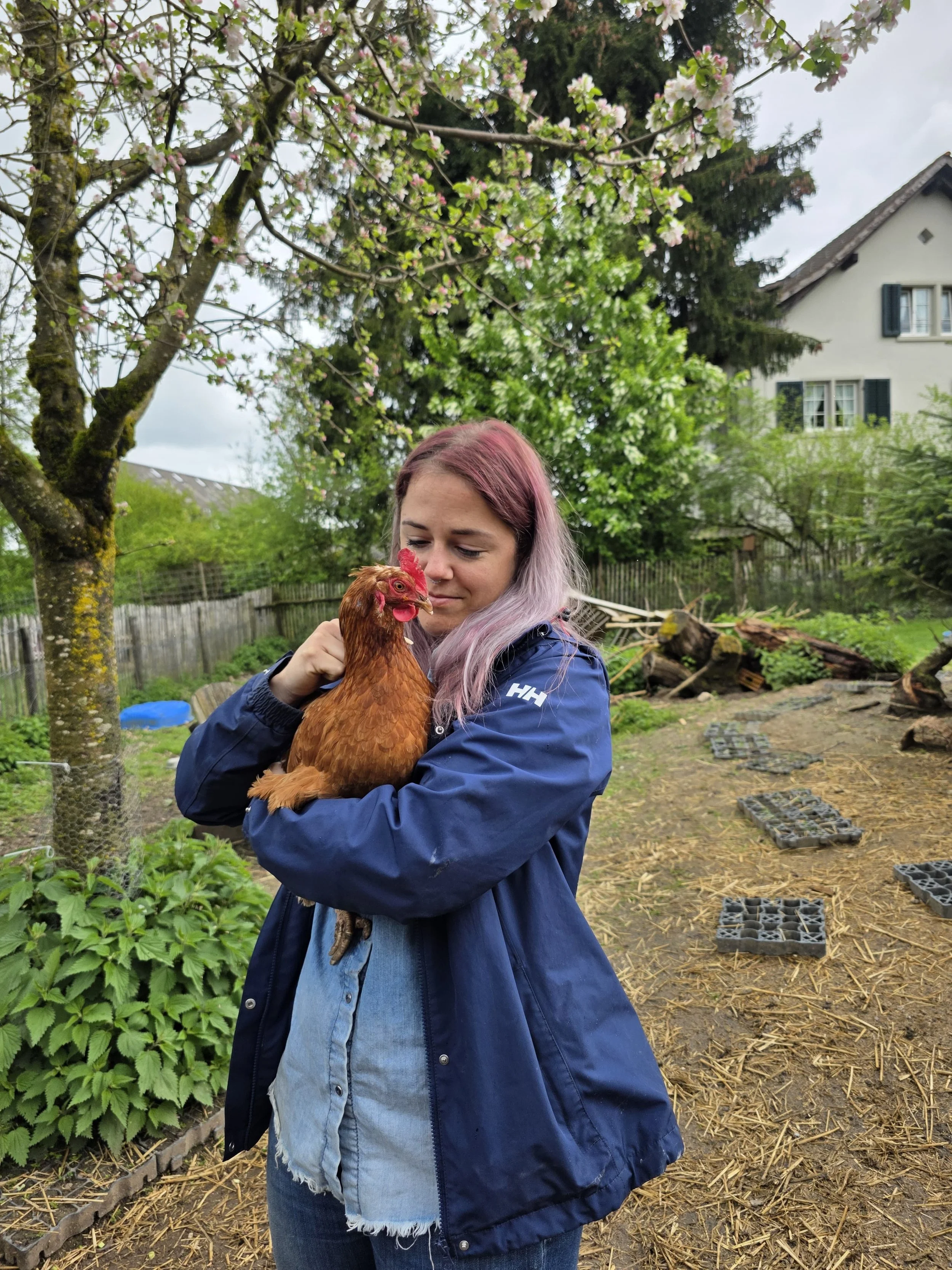 Öffentliche Hofführung