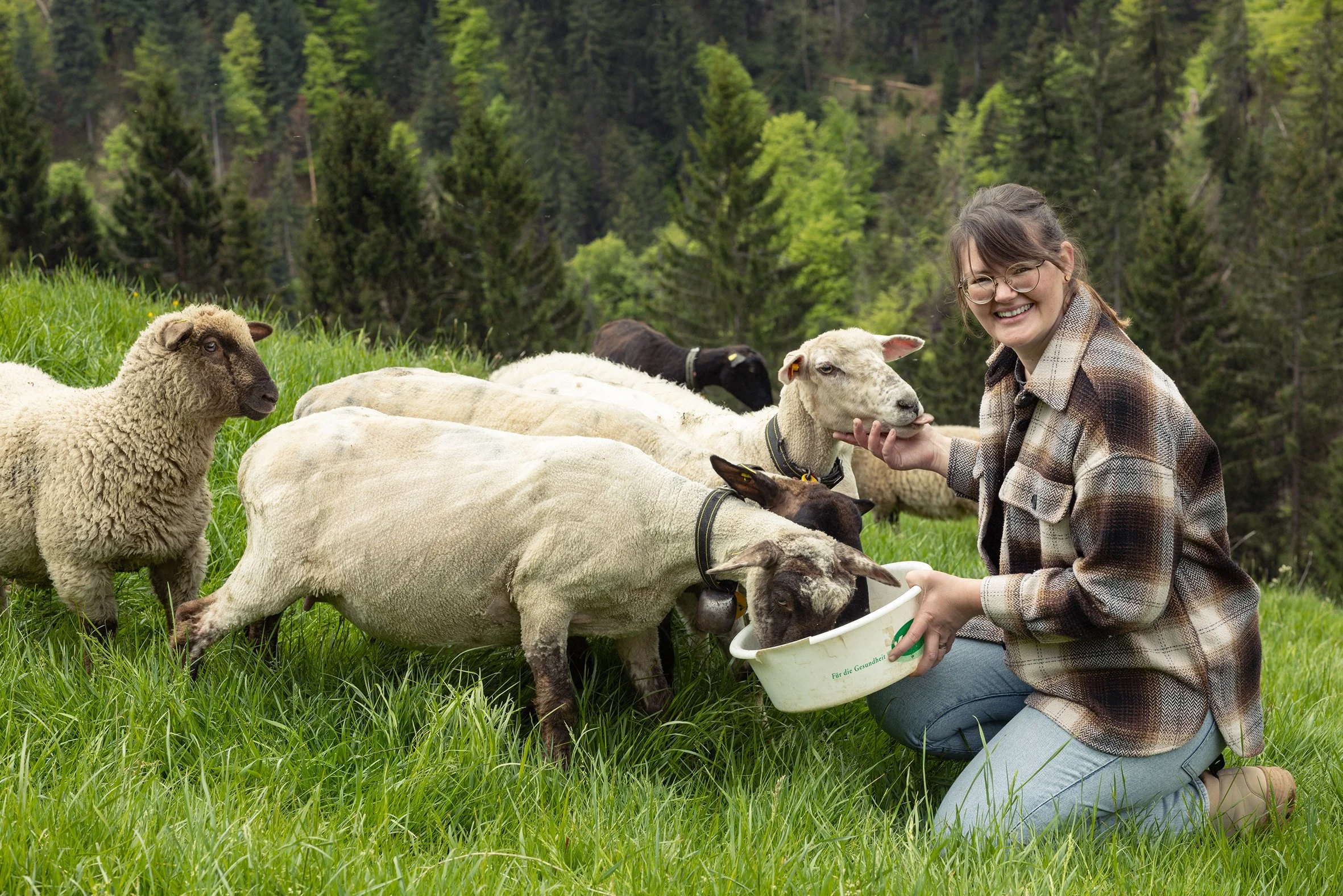 Lebenshof Änzis erstes Hoffest (TransFARMation)