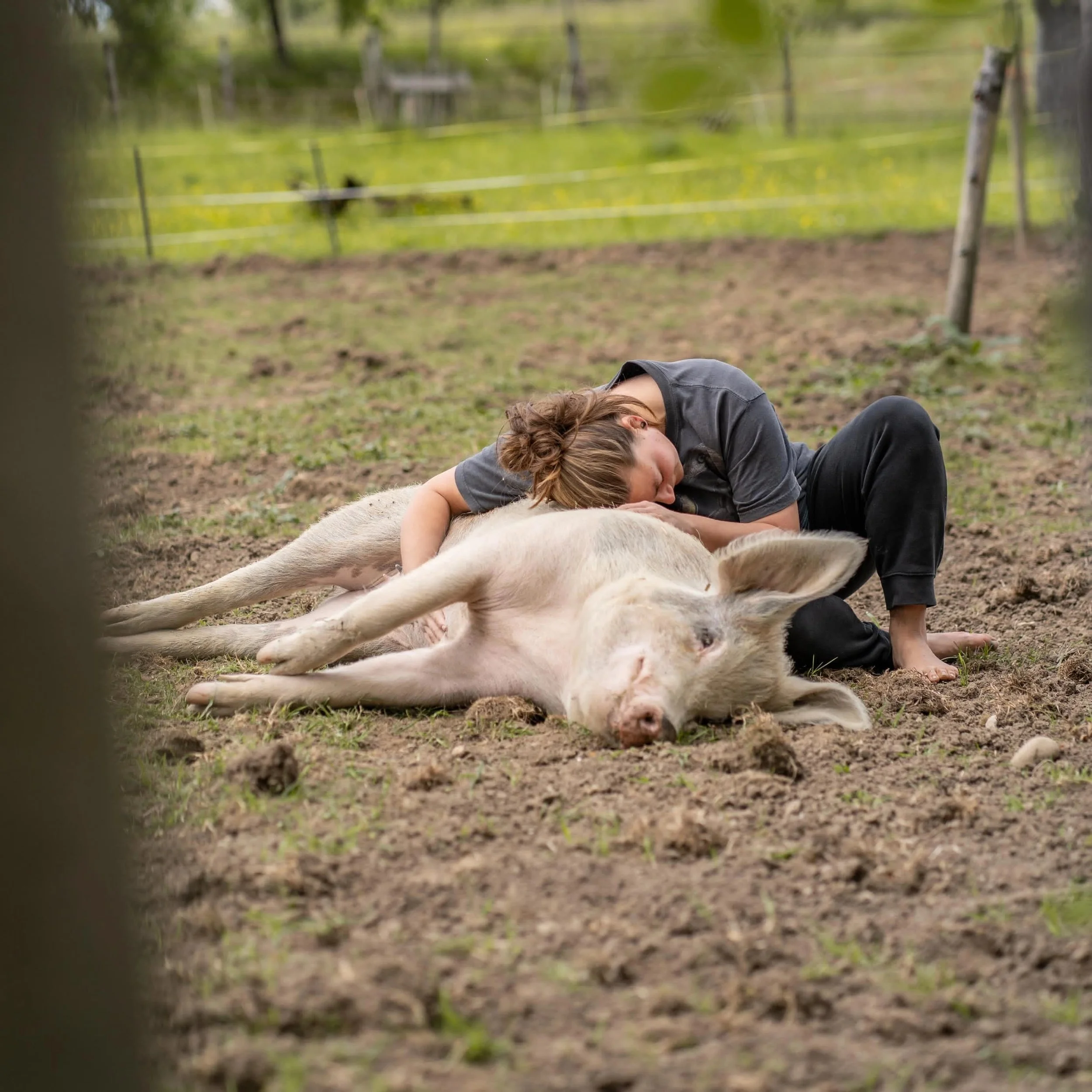 ABGESAGT - Werwölfeln bei den Tieren