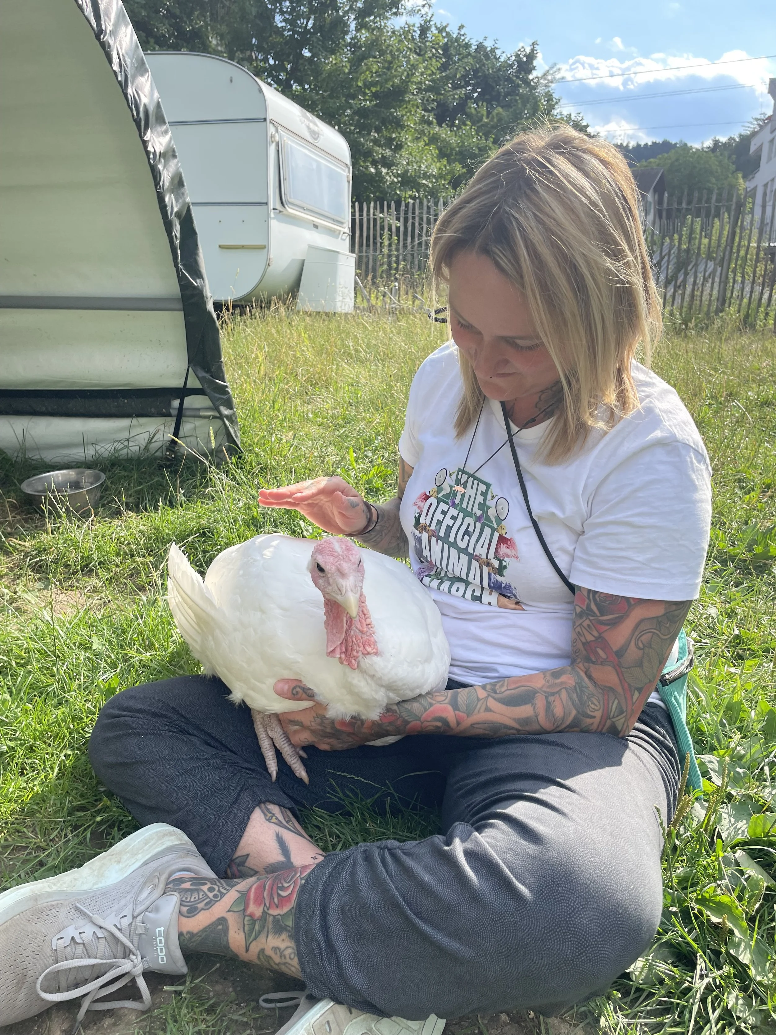 Öffentliche Hofführung