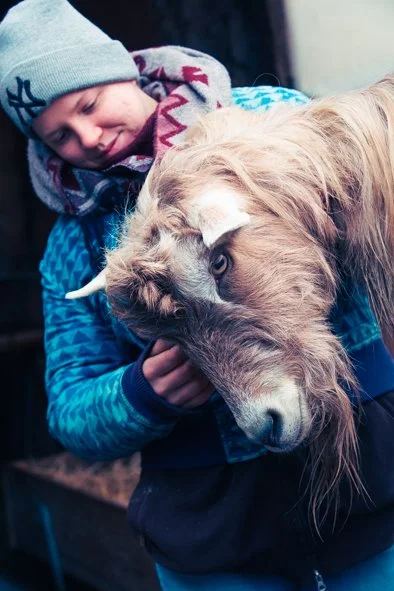 Kurs: Komplementärmedizin für Tiere 