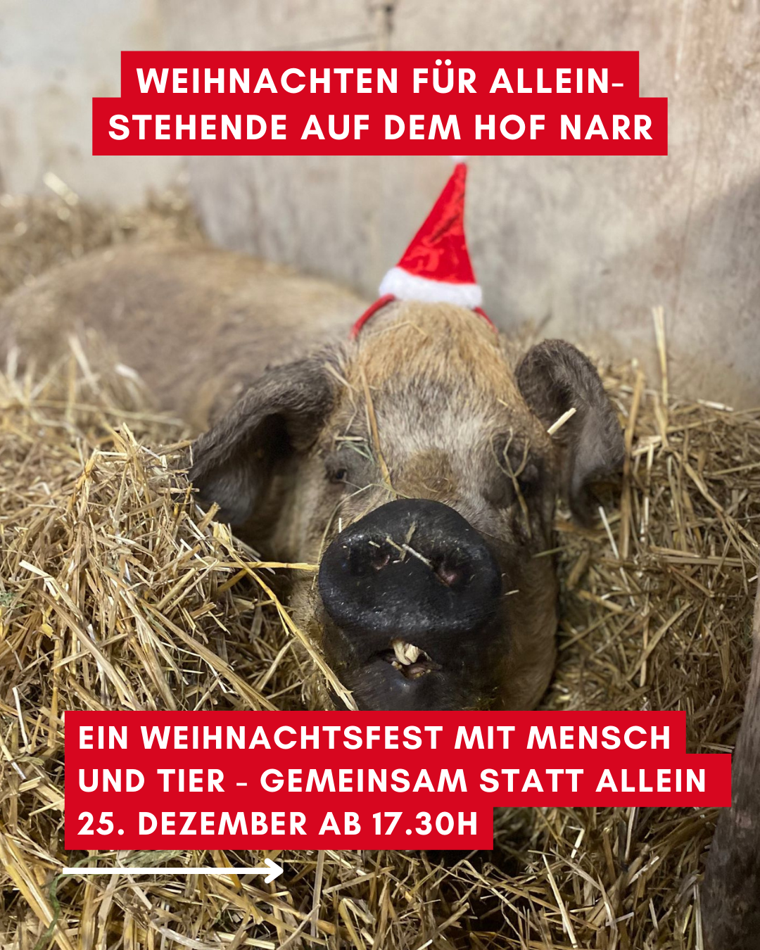 Weihnachten für Alleinstehende 