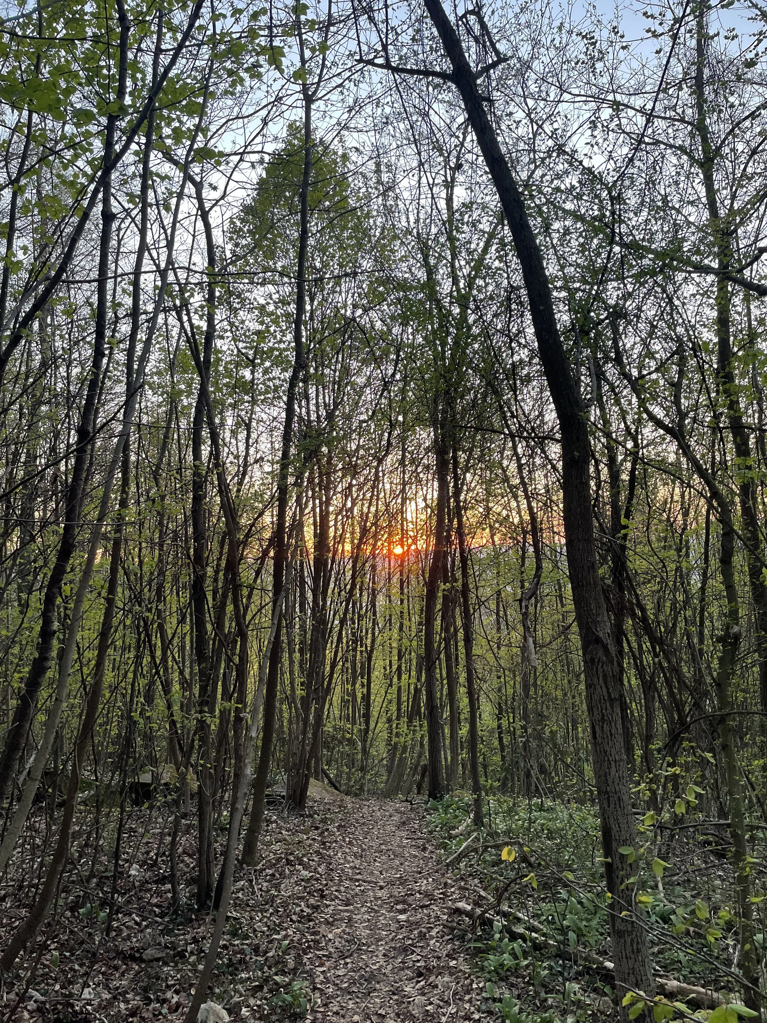 Radikale Empathie Tagesworkshop