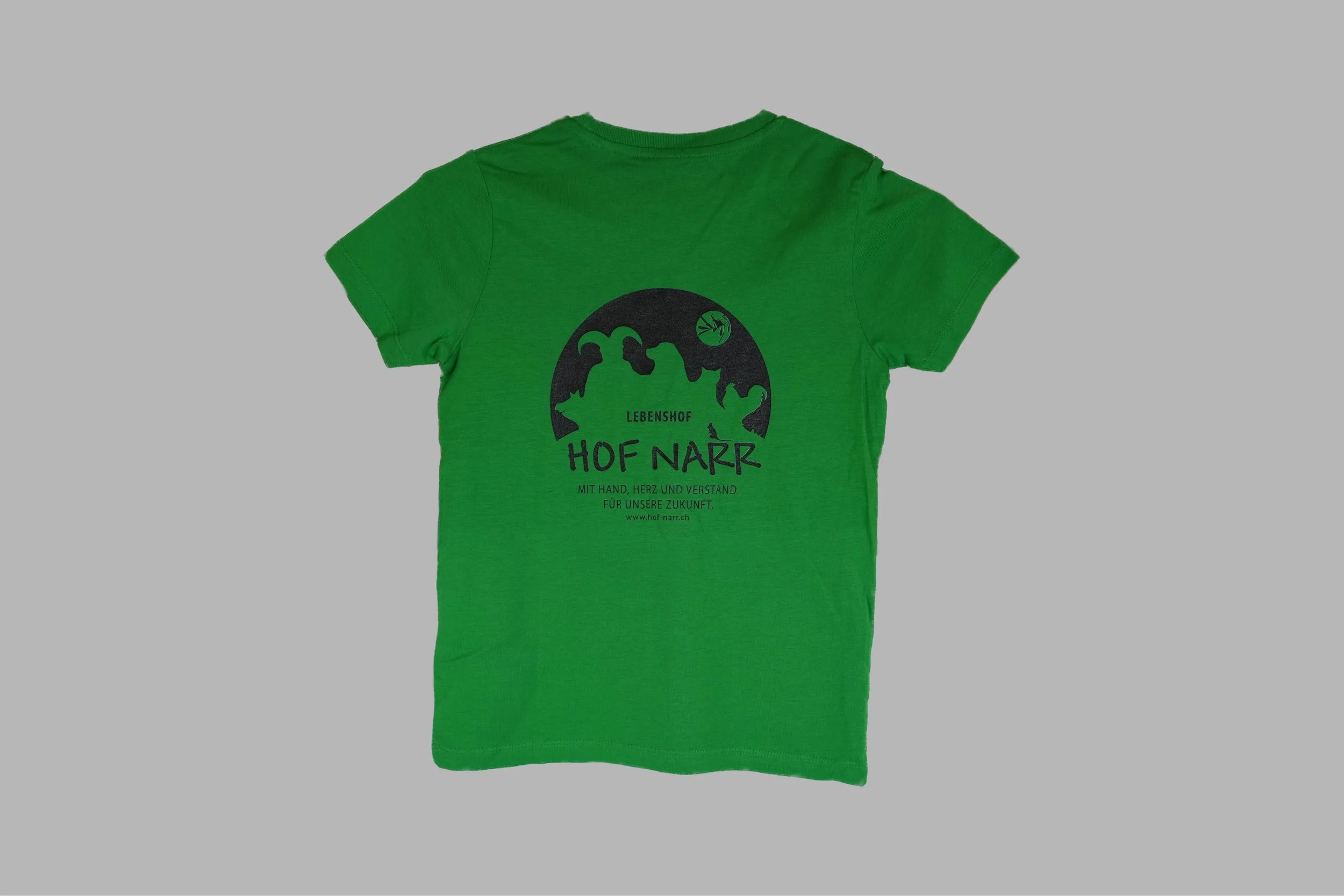 T-Shirt Grün Hof Narr hinten.jpg