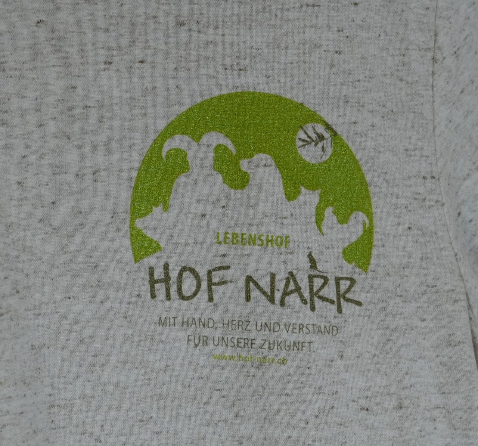T-Shirt DETAIL Vorne 11 Jahre Hof Narr@0.5x.jpg