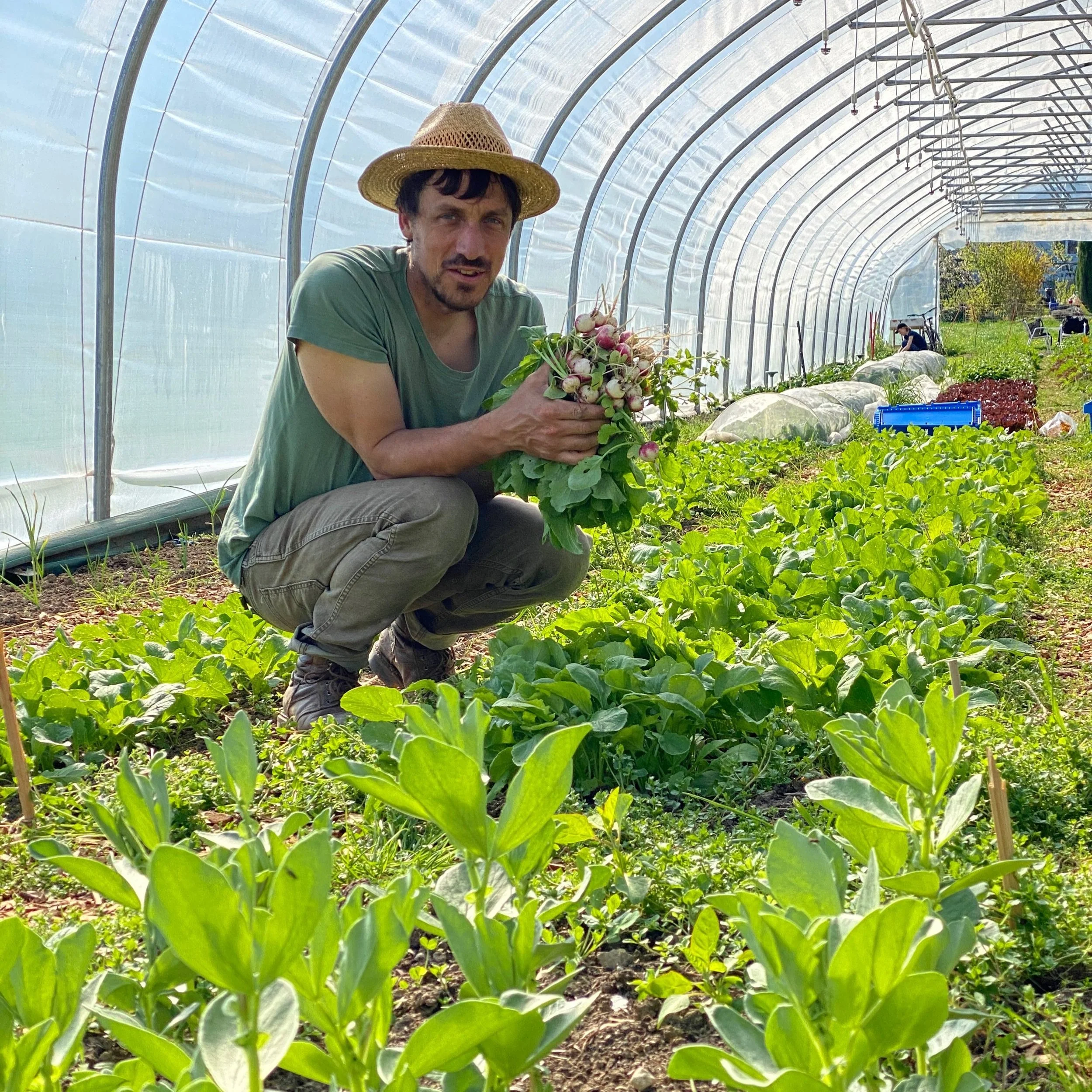 Tageskurs: zukunftsfähiges Biogärtnern