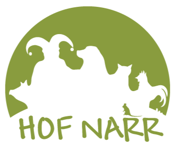 Hof Narr