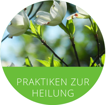 Healing_pack_ger.png