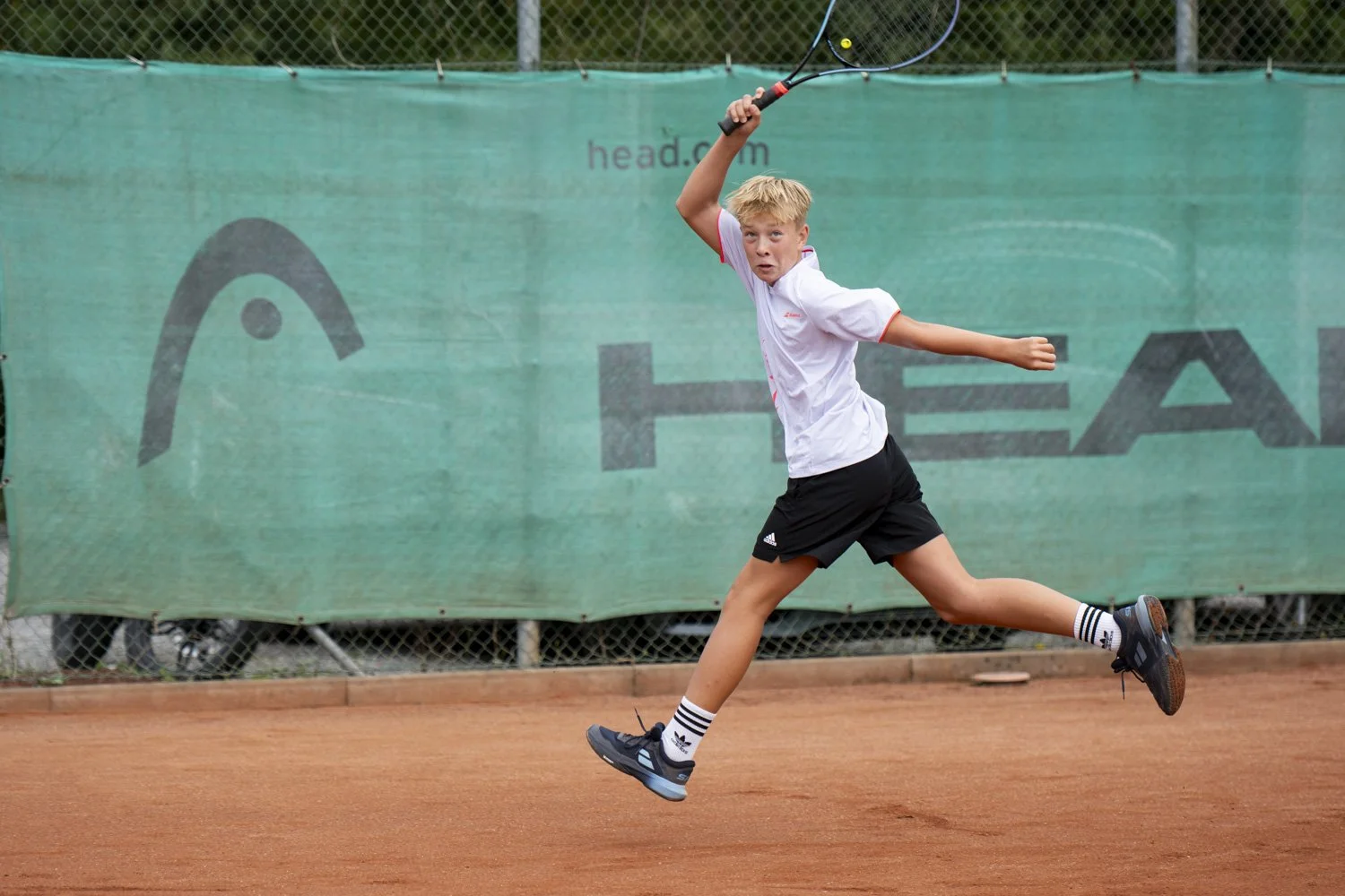 DSC_6509.JPG