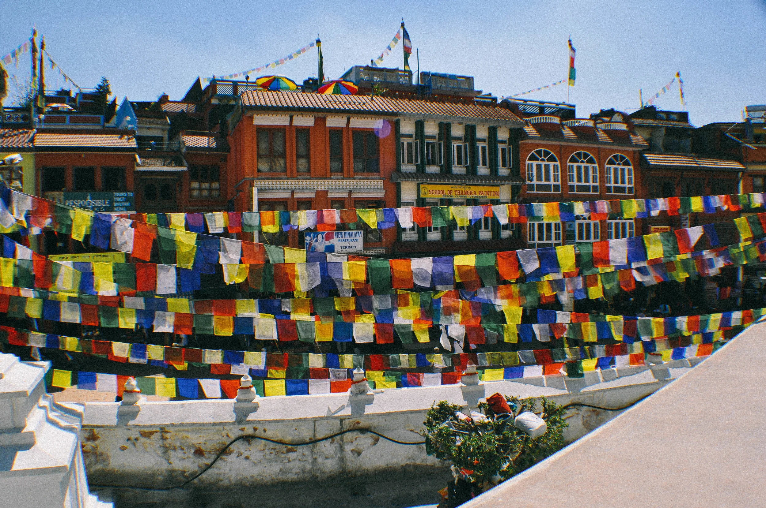 DSC_0729.jpg
