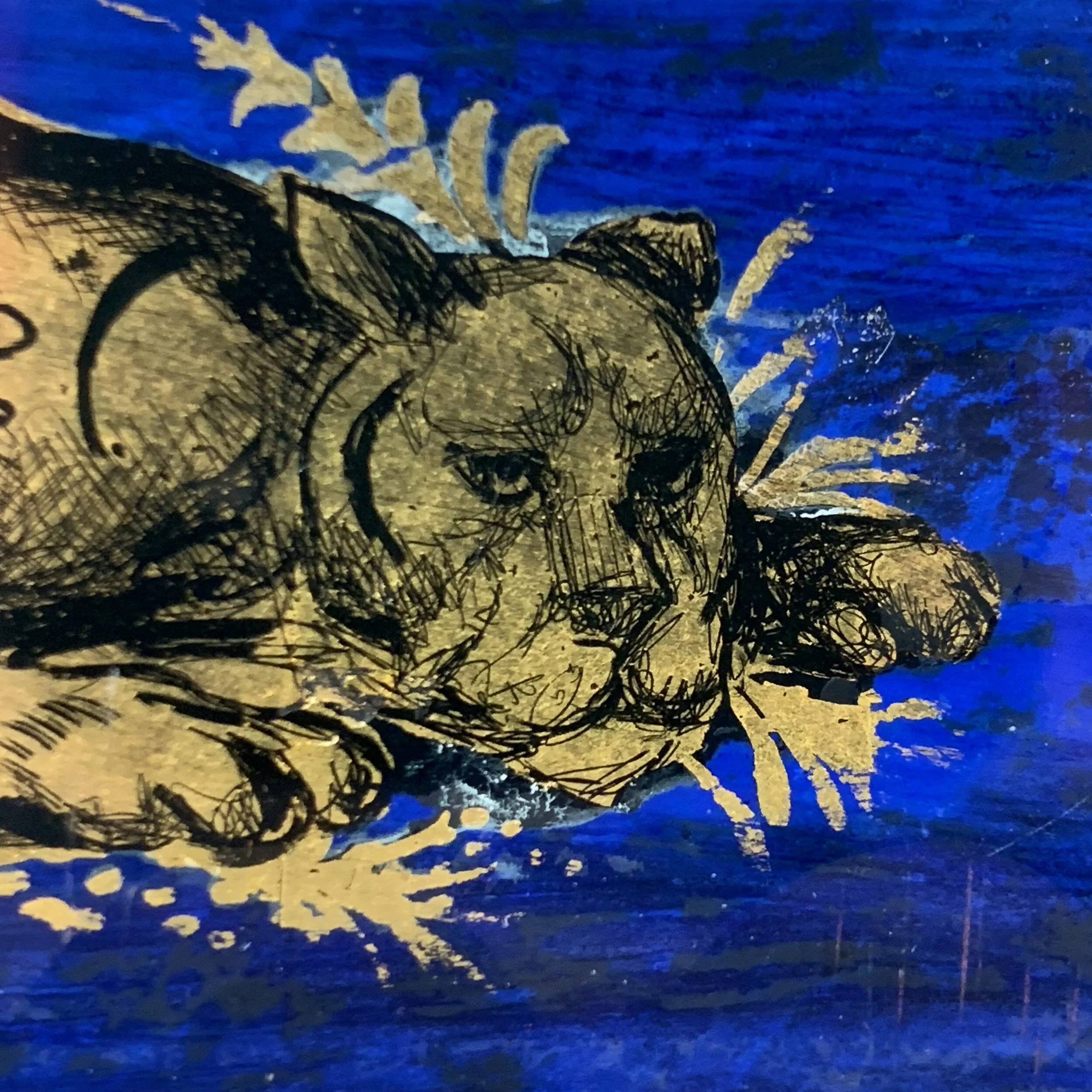 C04EAFF5-AB4E-49D1-80F9-D97D7359F387