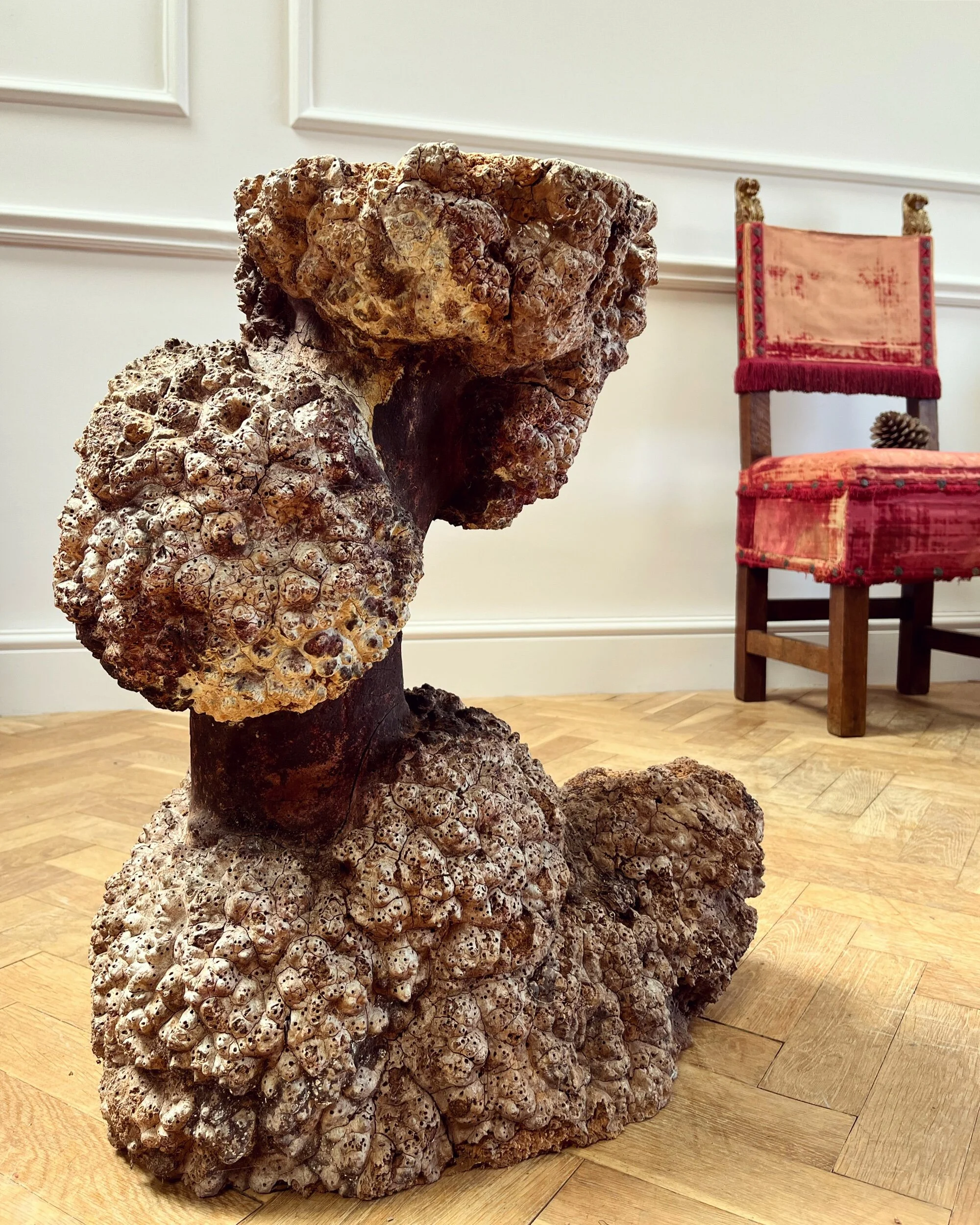 07D747F6-B14E-4E64-8FFD-9BCD809F88E8