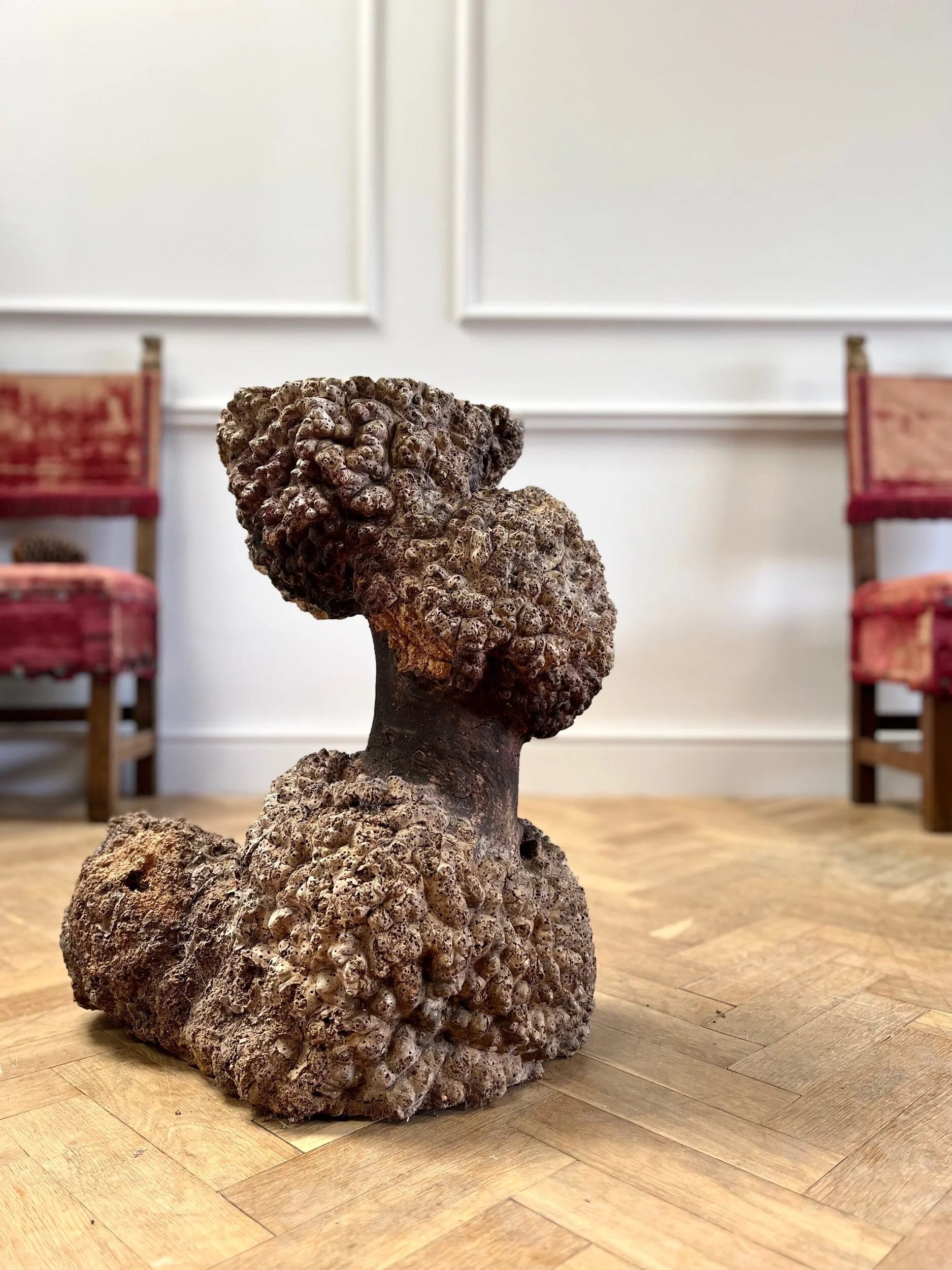 7E6F8DA3-20F7-4D03-87CD-D1B299F31EF2